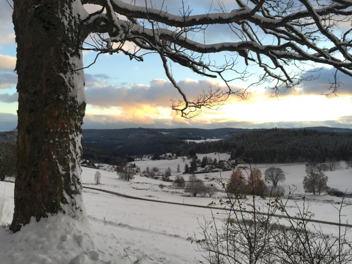 Fewo Fuchs Saig Lenzkirch Eksteriør billede