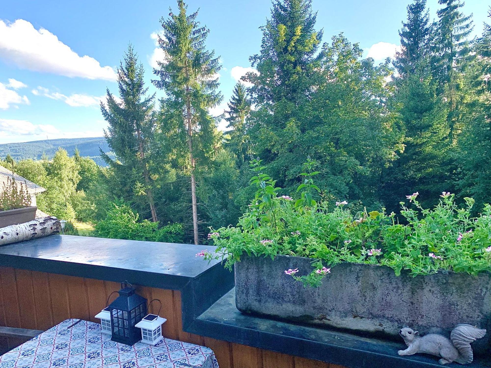 Fewo Fuchs Saig Lenzkirch Værelse billede